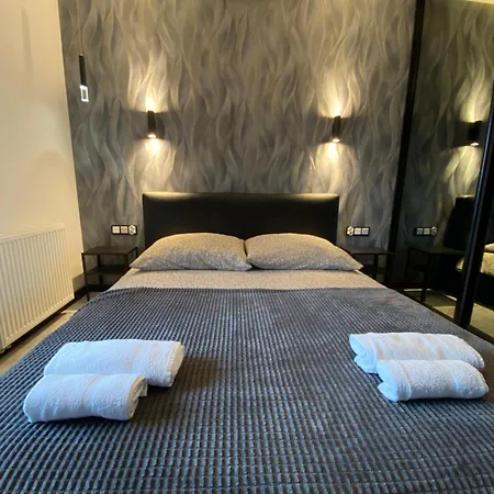 Luxury Loft Free Parking Apartment *