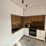 Luxury Loft Free Parking * 克拉科夫